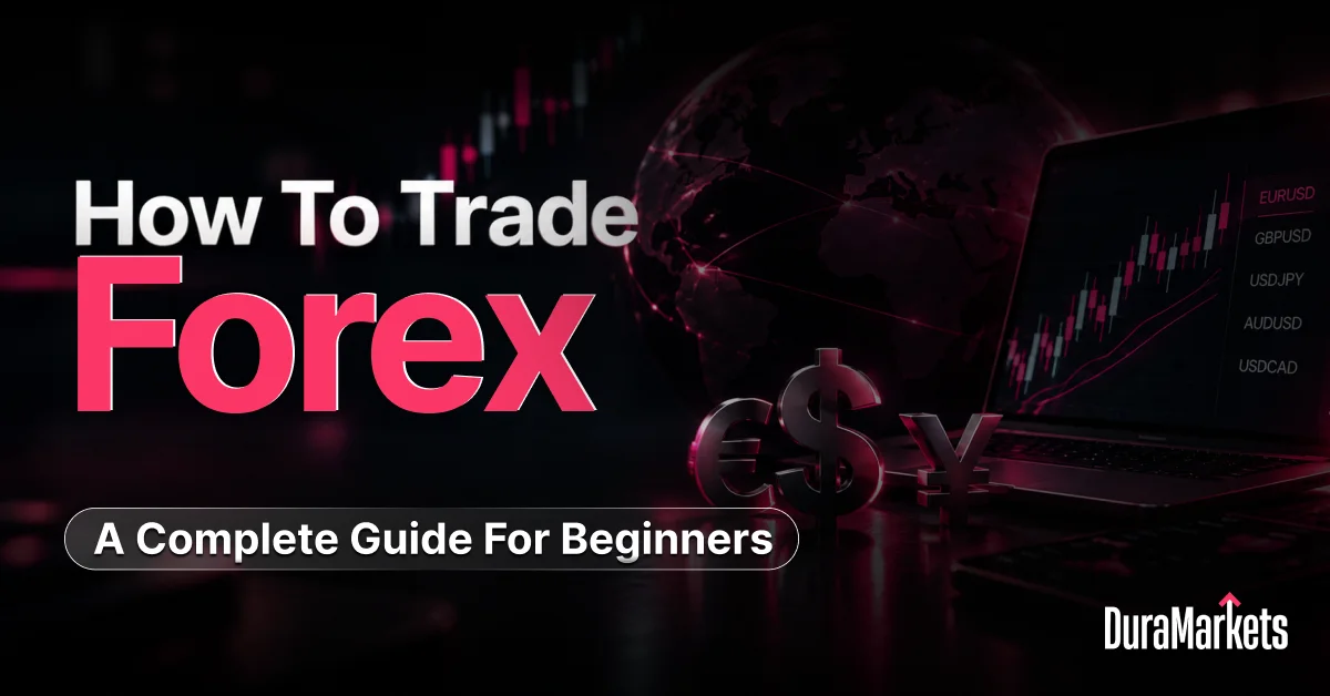 Infographic with title, How to Trade Forex: A Complete Guide For Beginners.
