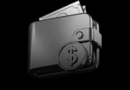 Wallet with cash representing profit withdrawal