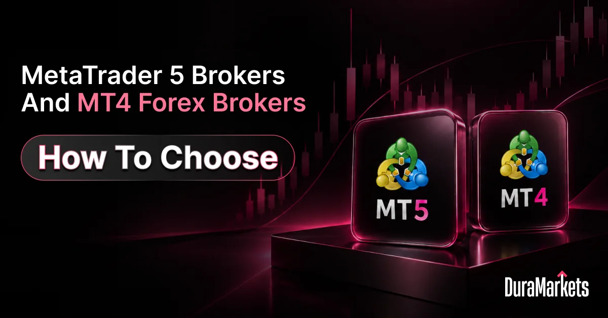 Infographic with title, MetaTrader 5 Brokers and MT4 Forex Brokers: How to Choose.